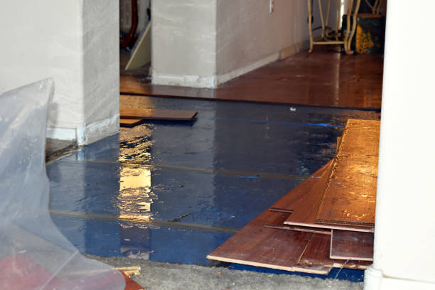 Professional Water Damage Restoration technician working in Westphalia, IA